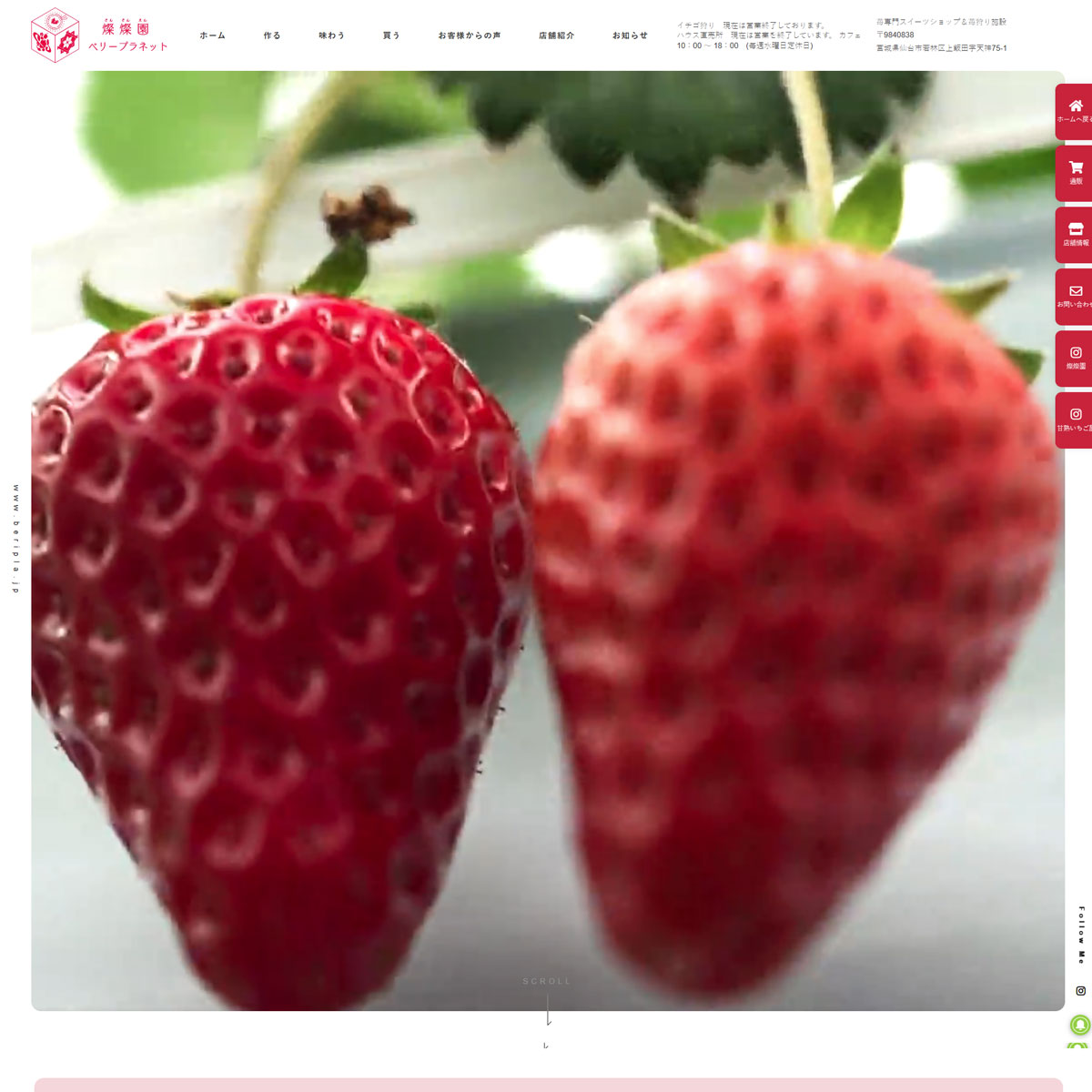 Berry Planet