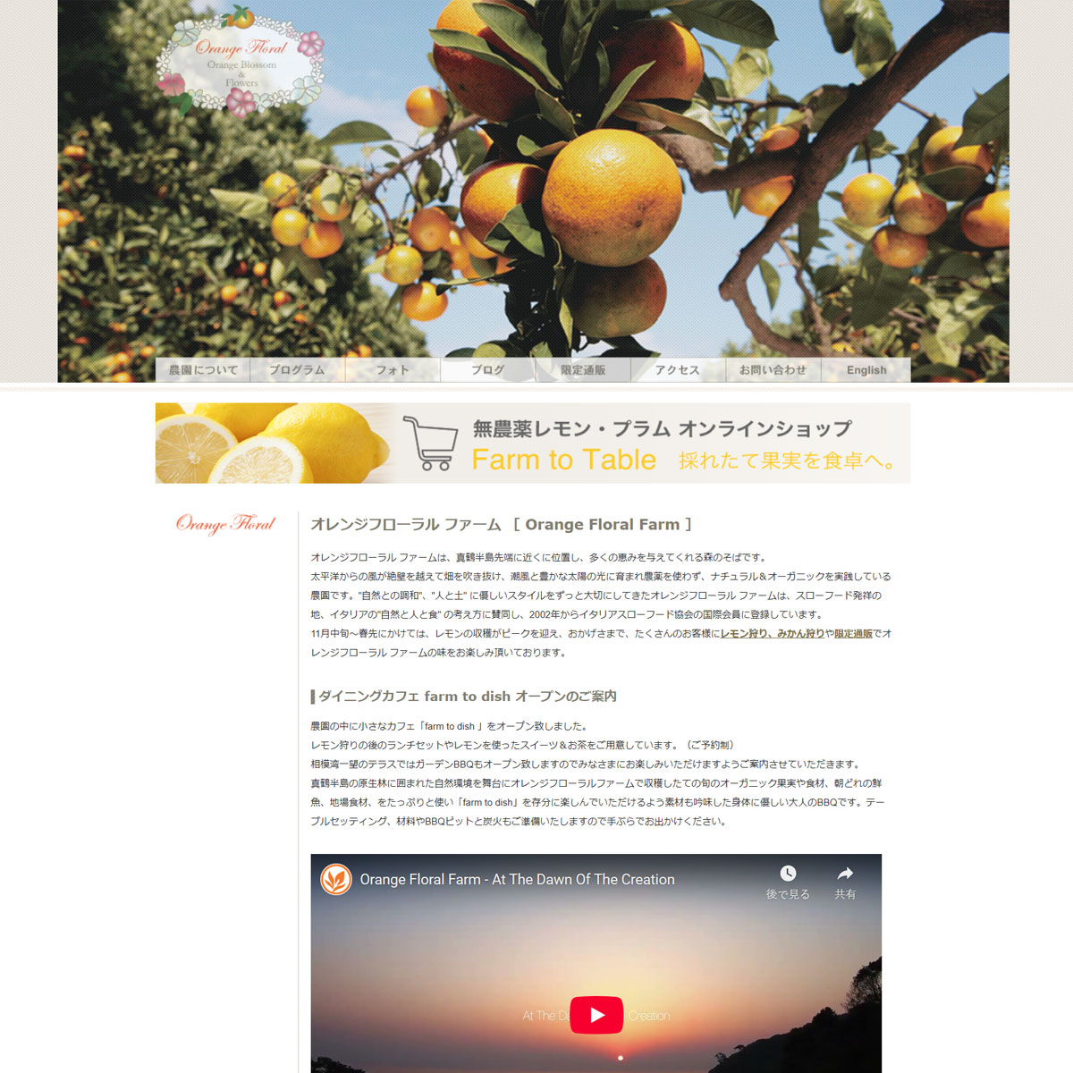 Orange Floral Farm