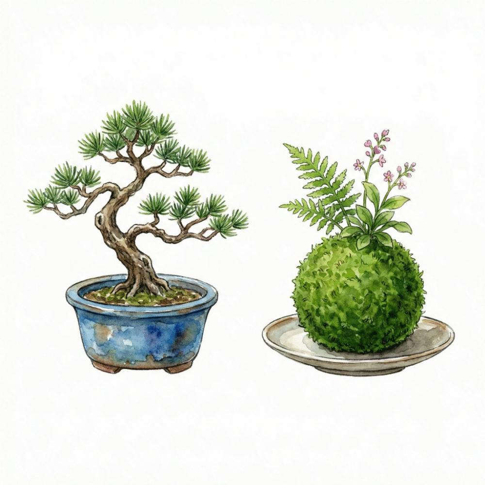 Side-by-side illustration comparing a potted mini bonsai (left) with a kokedama moss ball (right)