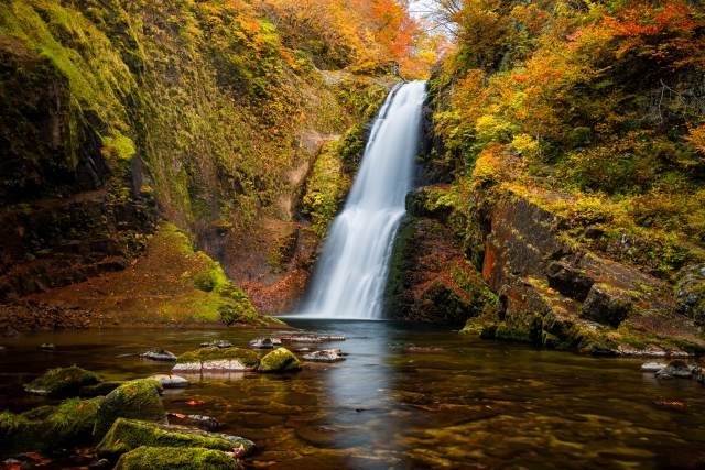 Akiu Otaki Falls cascading down with a roar, surrounded by lush green forest