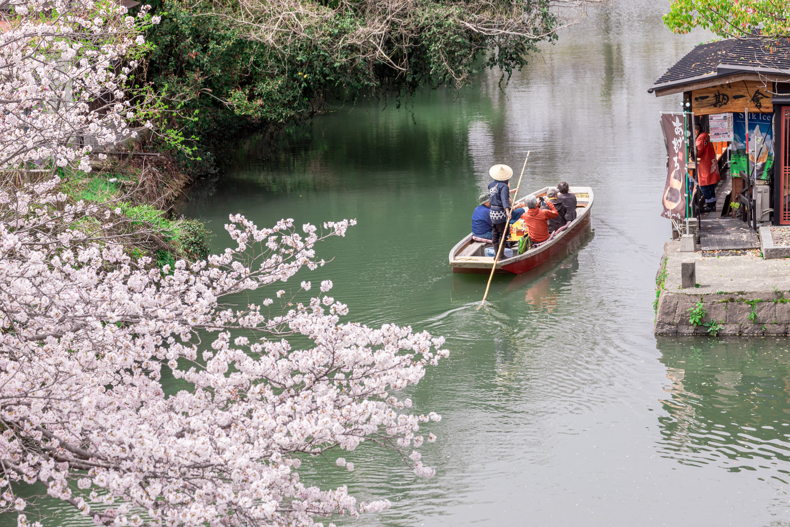 A leisurely river boat cruise along Yanagawa's canals on a donko boat