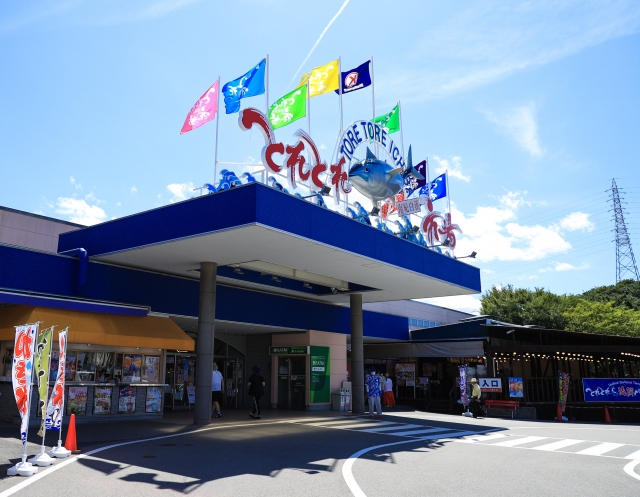 The lively, bustling giant seafood market Toretore Ichiba with its fresh seafood on display