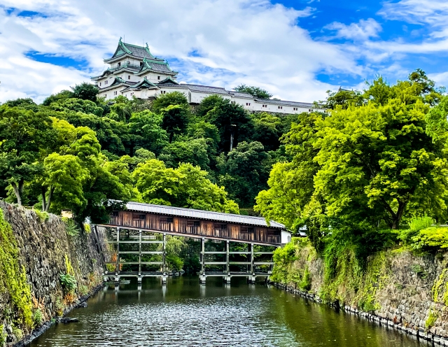 Wakayama Castle towering over its lush green grounds