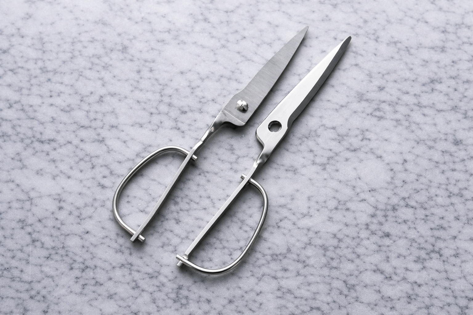 All-stainless kitchen shears that pull apart for thorough washing