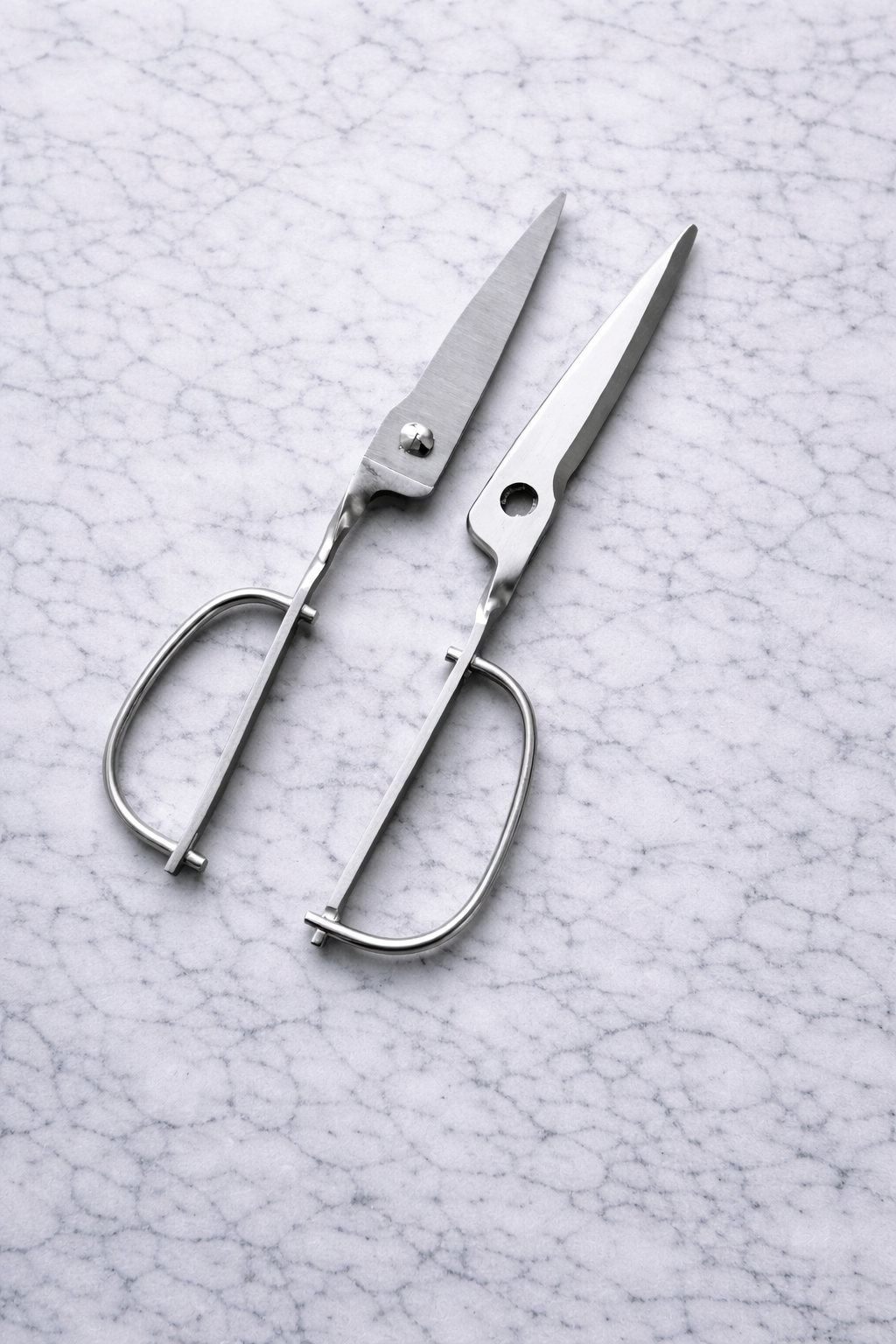 Best Japanese kitchen shears — summary
