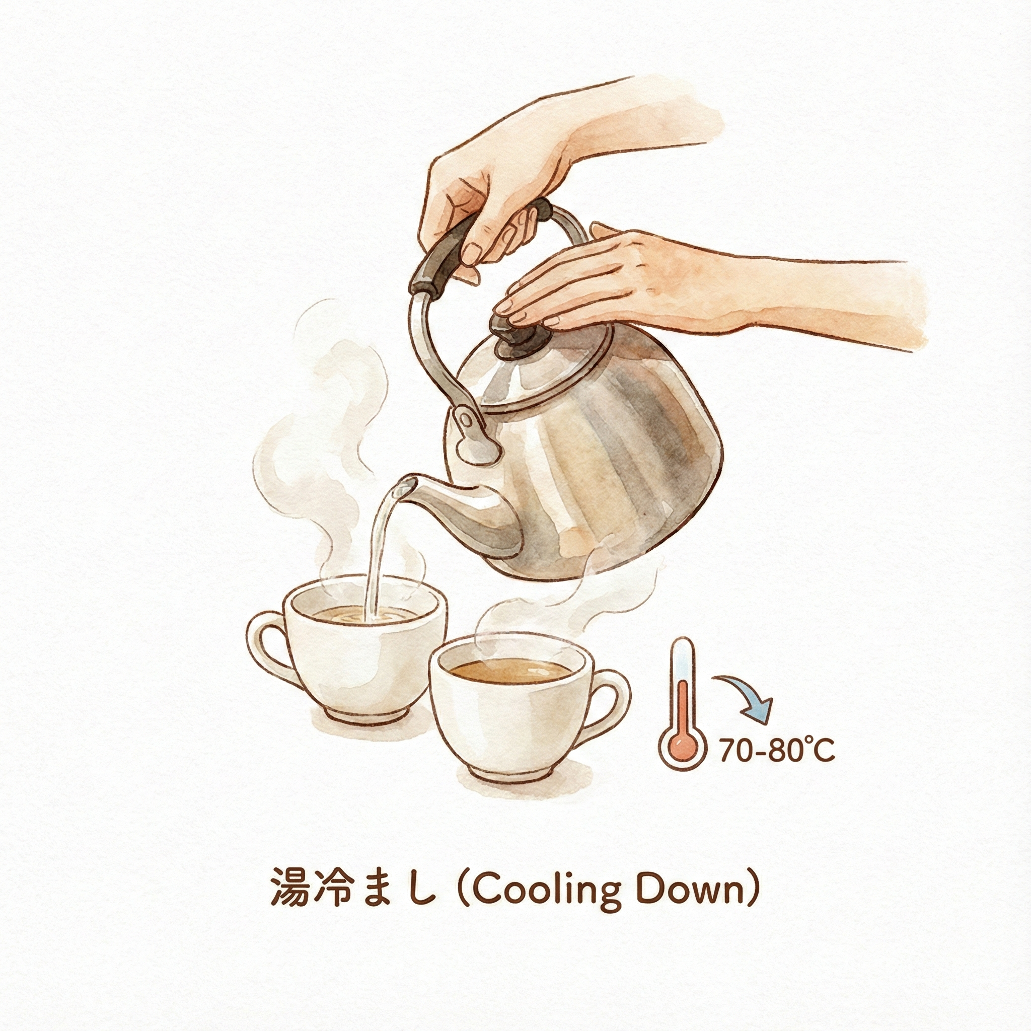 Illustration of cooling hot water by pouring it into teacups before brewing
