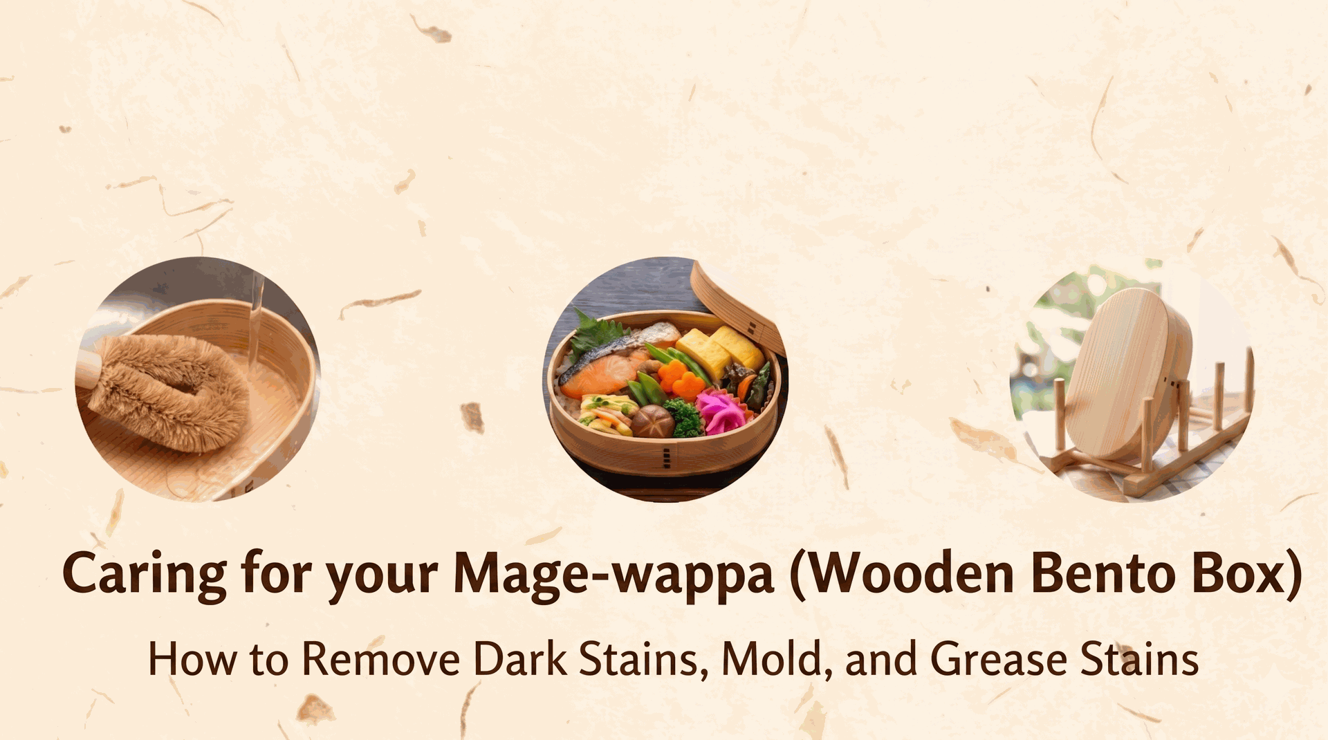 Magewappa bento box care guide thumbnail