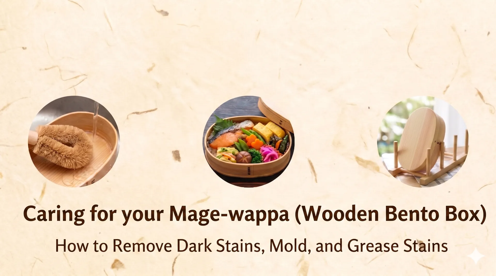 Guide to magewappa care