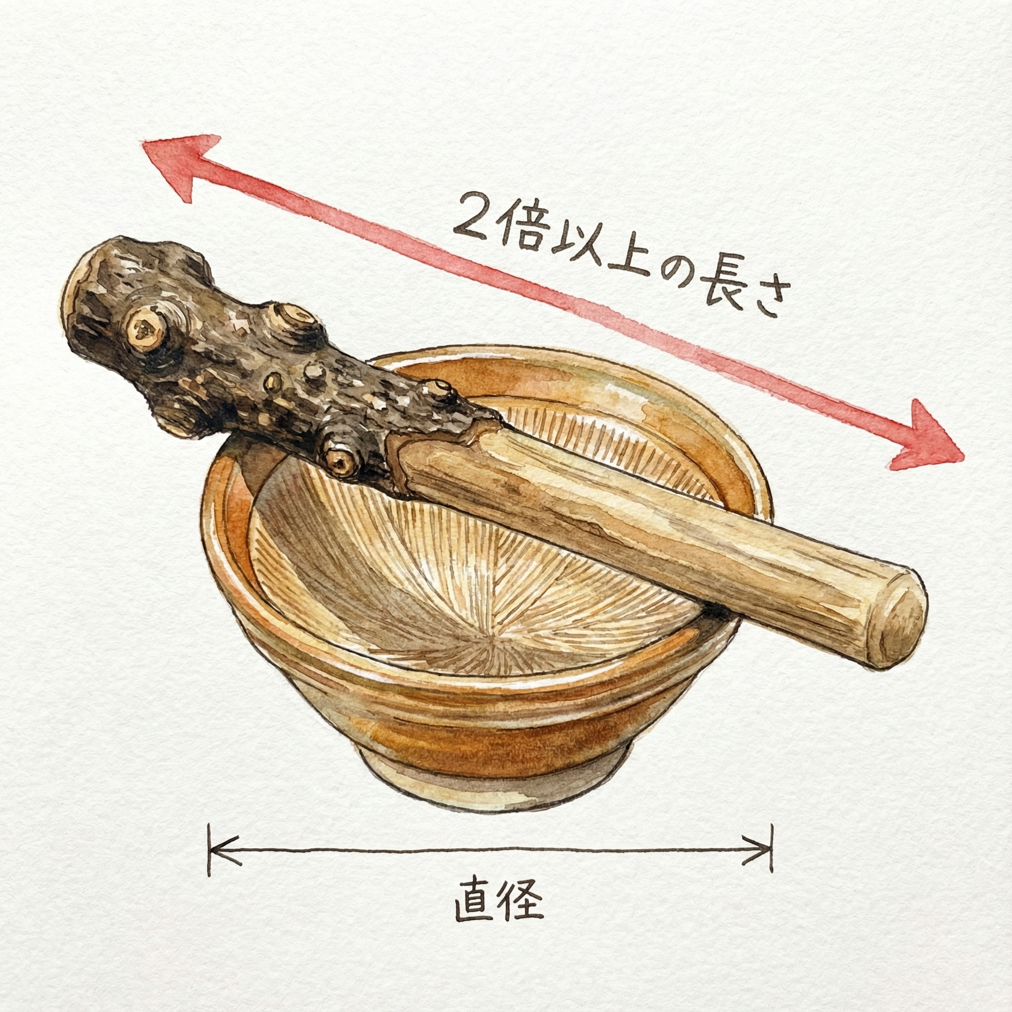 Illustration of a sansho wood surikogi with a size guide showing the ideal length relative to the bowl