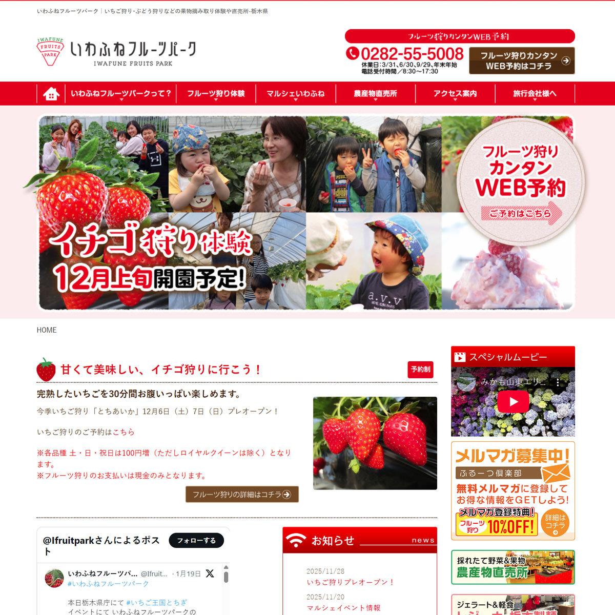 いわふねフルーツパーク｜いちご狩り･ぶどう狩り