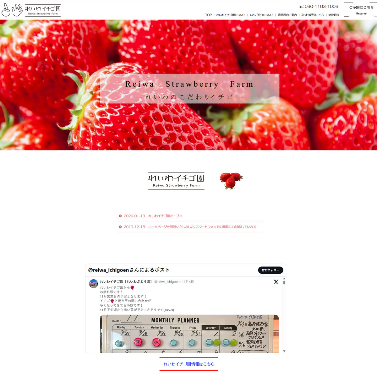 れいわイチゴ園