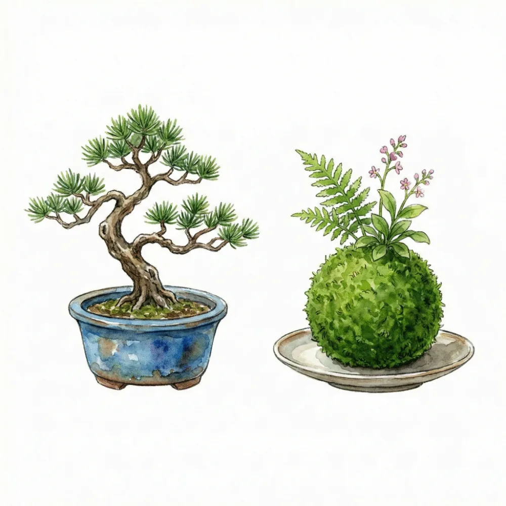 左側に鉢植えのミニ盆栽、右側に苔玉を配置し、それぞれの特徴を比較しているイラスト