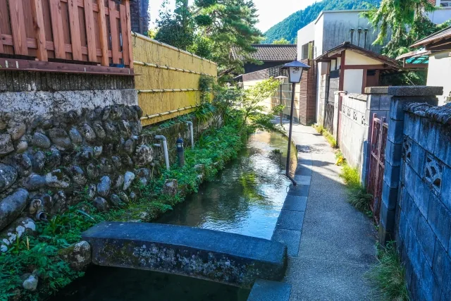 清らかな水路に丸々と太った色鮮やかな鯉が泳ぐ、いがわ小径の風景