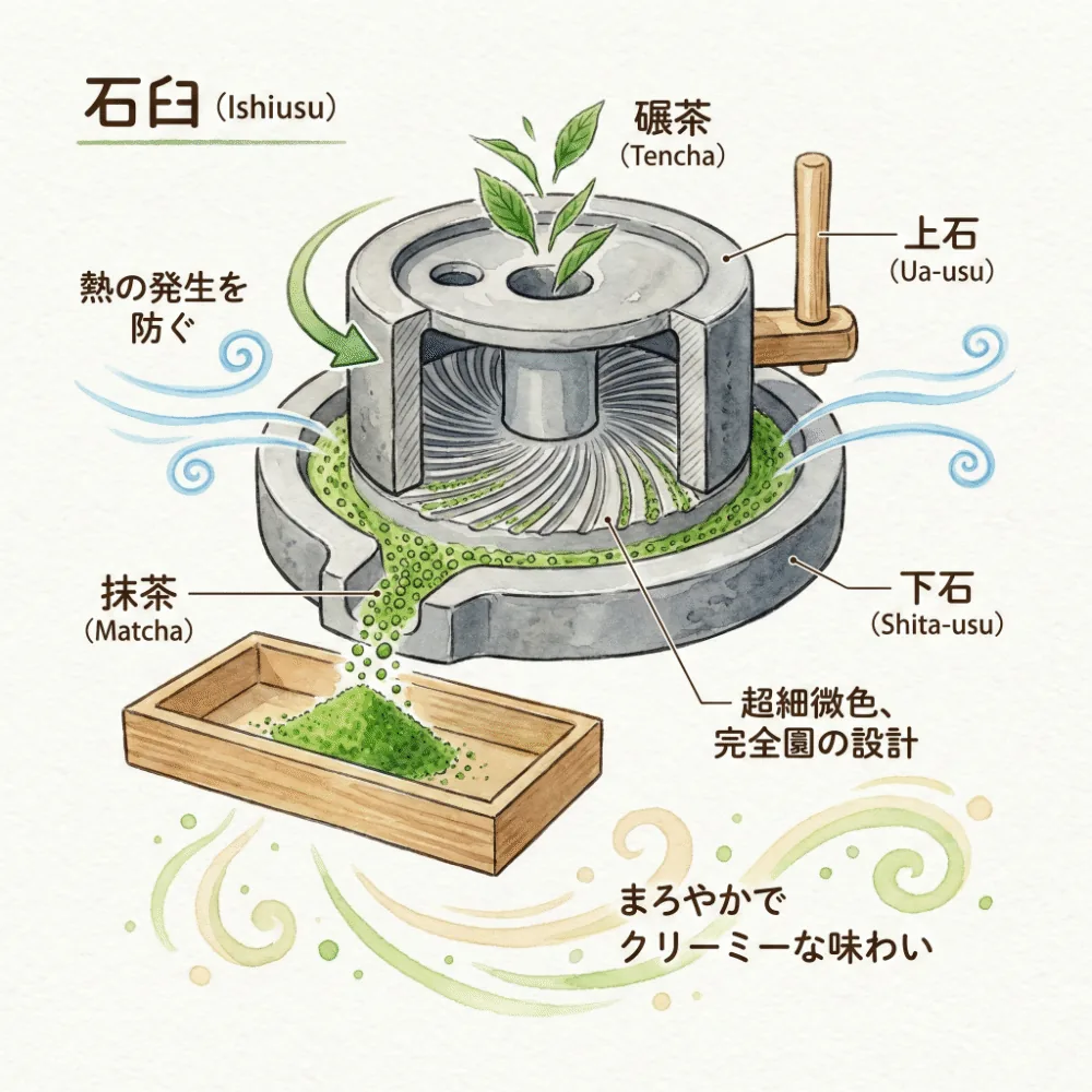 石臼でゆっくりとお茶を挽くことで熱を出さず、丸くて細かい粒子の抹茶ができる仕組みを解説するイラスト
