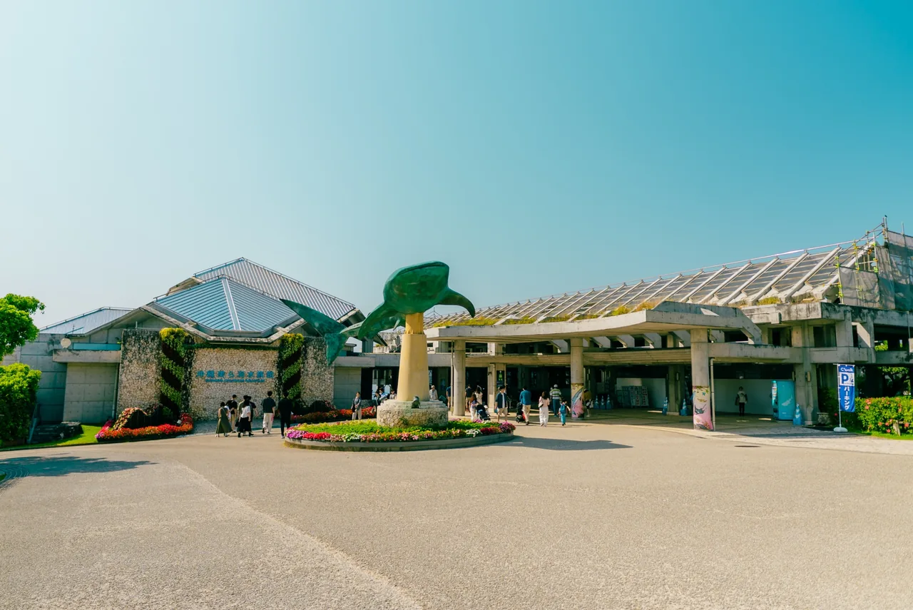 【北部】沖縄美ら海水族館の画像