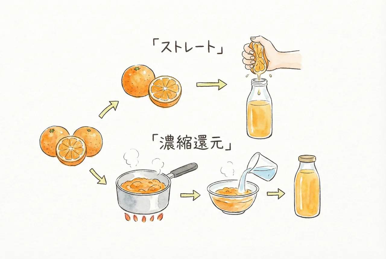 濃縮還元とストレートジュースの製法比較イラスト