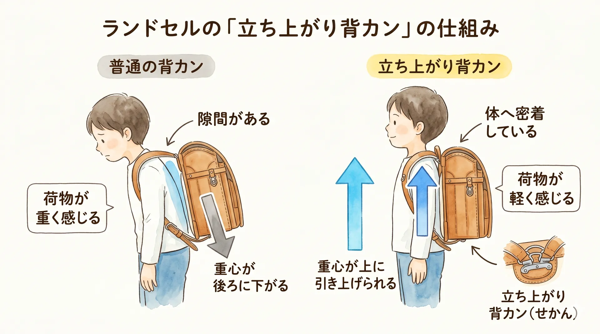 ランドセルの「立ち上がり背カン」の仕組みを示す図解イラスト。肩ベルトの付け根が上に向かってグッと立ち上がることで、ランドセル本体が子供の背中にぴったりと密着し、重さを分散させている様子