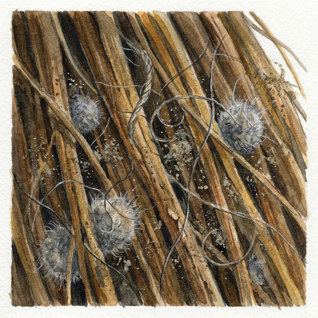 棕櫚ほうきの繊維がホコリや髪の毛を舞い上げずに絡め取っている様子の拡大イラスト
