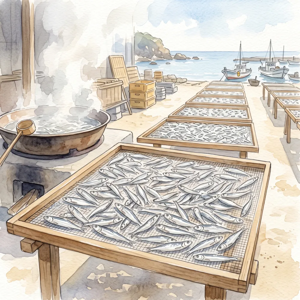 海辺の作業場で、煮上げたカタクチイワシを平らな網に広げて干している様子