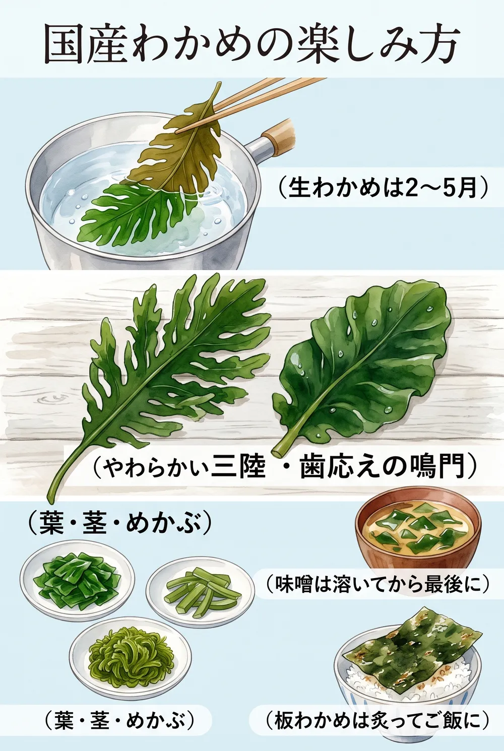 国産わかめの産地・部位・加工品・食べ方をまとめたインフォグラフィック